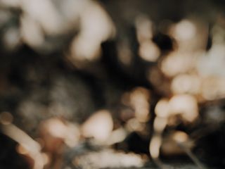 Le nozze di Germana e Stefano 3