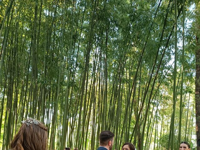 Il matrimonio di Cleris  e Cinzia  a Porto Mantovano, Mantova 12