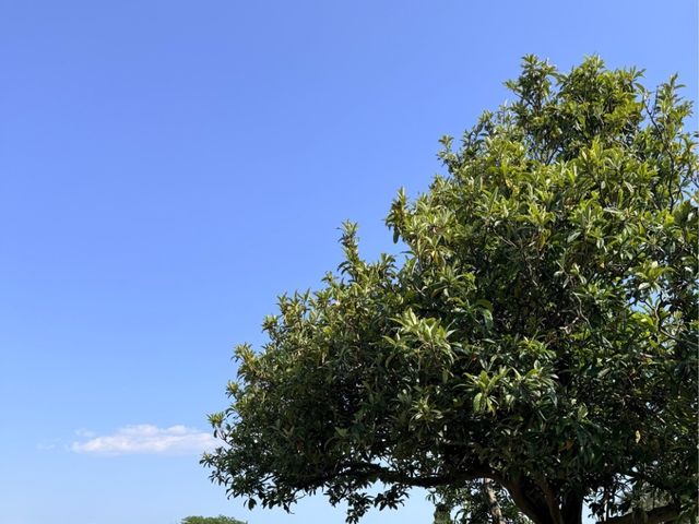 Il matrimonio di Enrica e Lorenzo a Susegana, Treviso 21