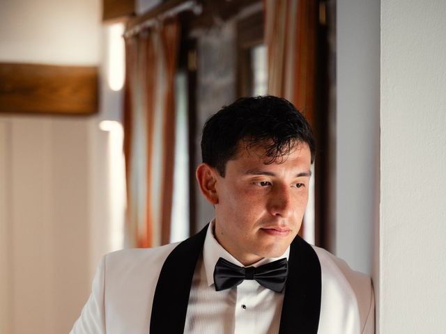 Il matrimonio di Deanna e Sebastian a Torgiano, Perugia 17