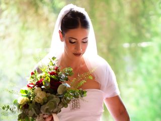 Le nozze di Elio e Vanessa 1