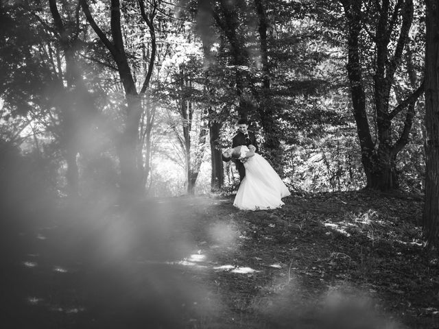 Il matrimonio di Nicolò e Alessia a Vimercate, Monza e Brianza 42