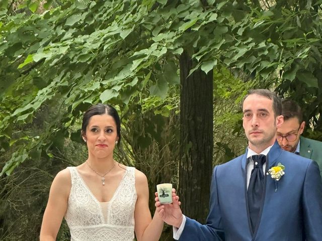 Il matrimonio di Elia e Cinzia a Albinea, Reggio Emilia 14