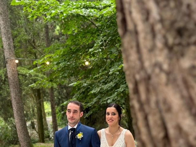Il matrimonio di Elia e Cinzia a Albinea, Reggio Emilia 29