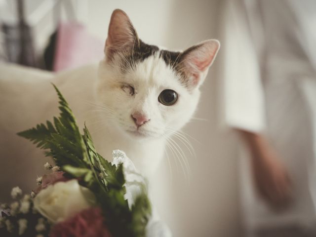 Il matrimonio di Davide e Giulia a Bracciano, Roma 12