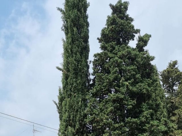 Il matrimonio di Nicola e Anna a Tregnago, Verona 4