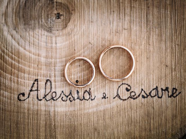 Il matrimonio di Cesare e Alessia a Vigevano, Pavia 204