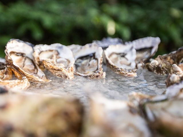 Il matrimonio di Claudio e Elena a Paderno Franciacorta, Brescia 252