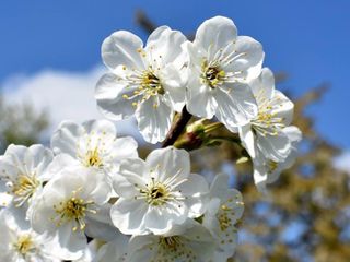 Le nozze di Ester e Saverio 2