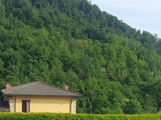 Il matrimonio di Chionna Vincenzo  e Timis crina  a Palazzago, Bergamo 12