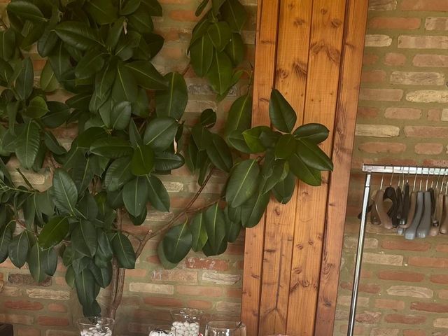 Il matrimonio di Davide  e Michela a Cocconato, Asti 11