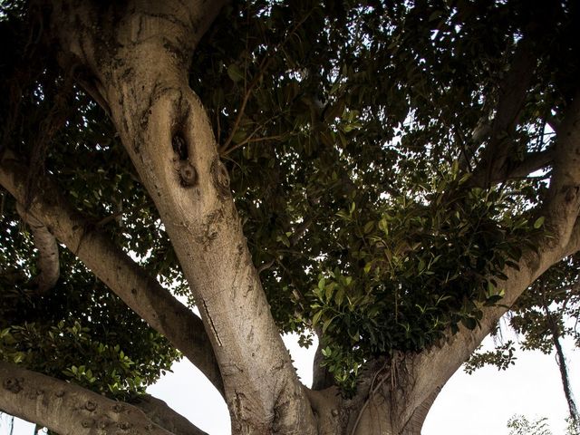 Il matrimonio di Domenico e Giusy a Marsala, Trapani 6