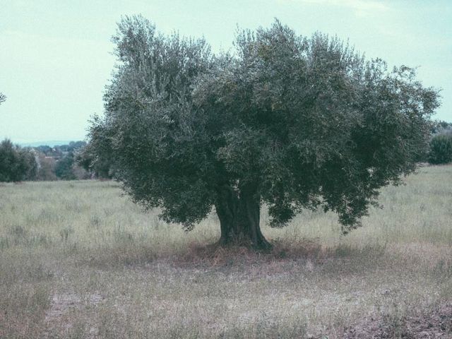 Il matrimonio di Tomomi e Leonardo a Cingoli, Macerata 57