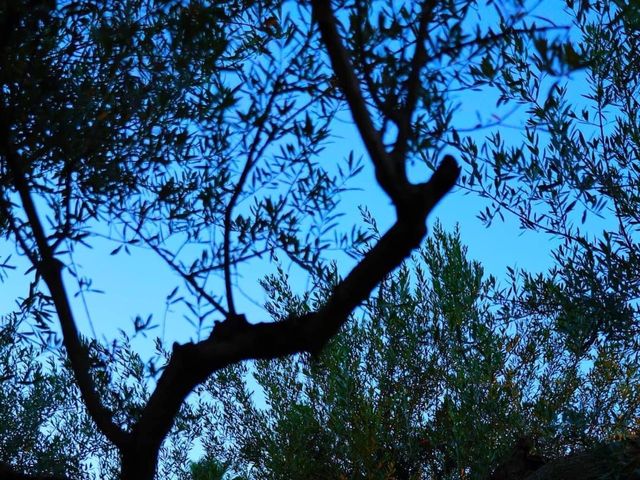 Il matrimonio di Maurizio  e Roberta a Mazzarino, Caltanissetta 36