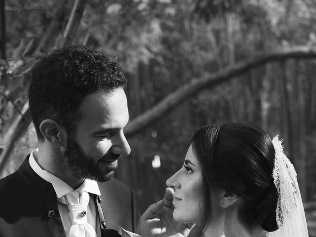 Il matrimonio di Felicia e Andrea a Mantova, Mantova 8