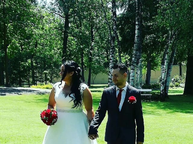 Il matrimonio di Christian e Chiara a Trecate, Novara 2