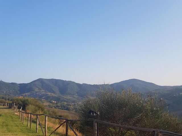 Il matrimonio di Andrea e Sara a Monte San Pietro, Bologna 34