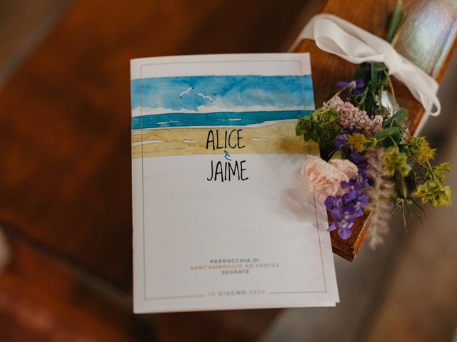 Il matrimonio di Jaime e Alice a Segrate, Milano 31