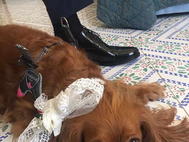 Il matrimonio di Michele  e Claudia  a Trapani, Trapani 16