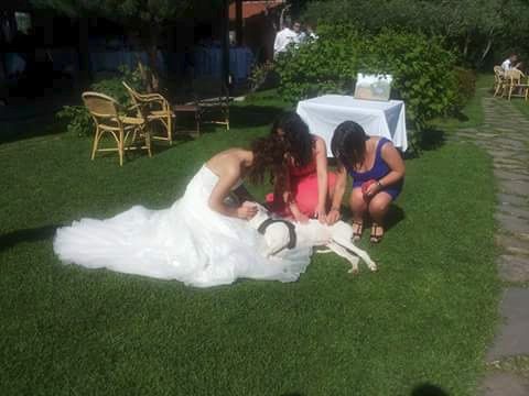Il matrimonio di Davide e Valeria a Cogoleto, Genova 10