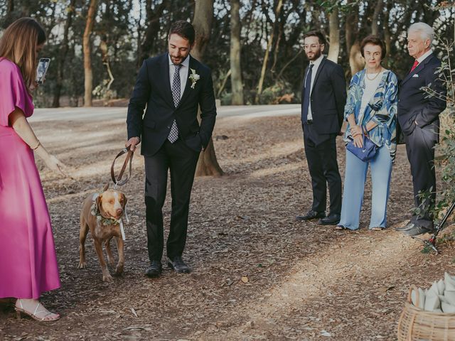 Il matrimonio di Enisa e Francesco a Botrugno, Lecce 37