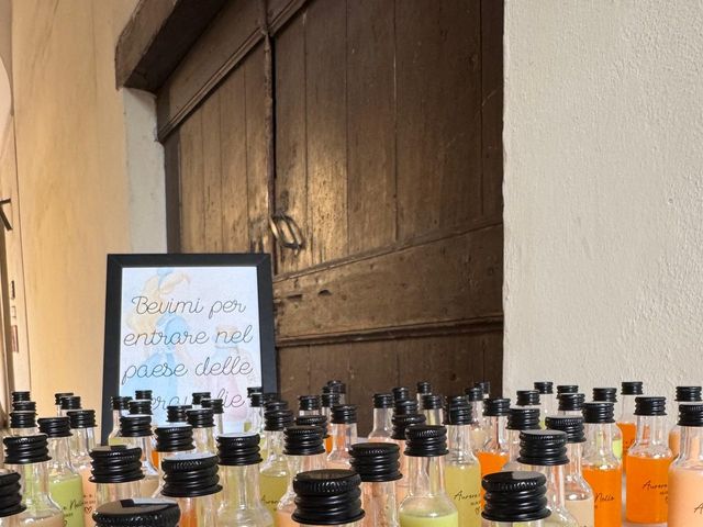 Il matrimonio di Nello  e Aurora  a Gualtieri, Reggio Emilia 14