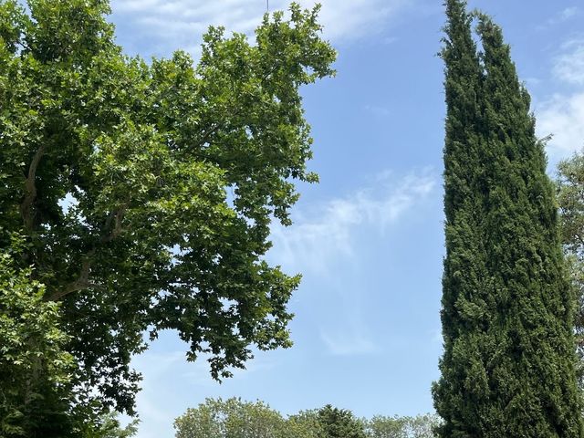 Il matrimonio di Giuseppe  e Angela a Maletto, Catania 4
