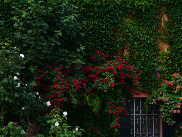 Il matrimonio di Andrea e Federica a Copparo, Ferrara 15