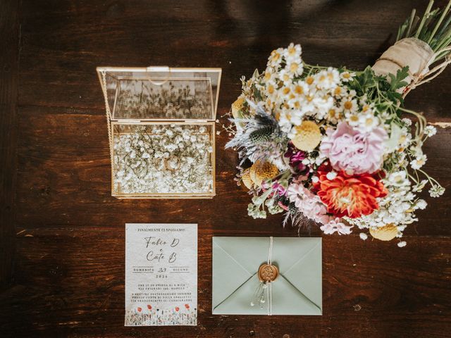 Il matrimonio di Fabio e Caterina a Casalgrande, Reggio Emilia 4