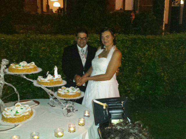 Il matrimonio di Domenico e Silvia a Vigasio, Verona 15