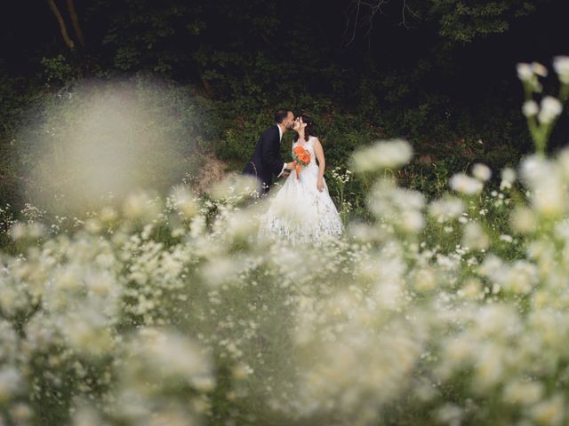 Il matrimonio di Alessia e Francesco a Pastrengo, Verona 49