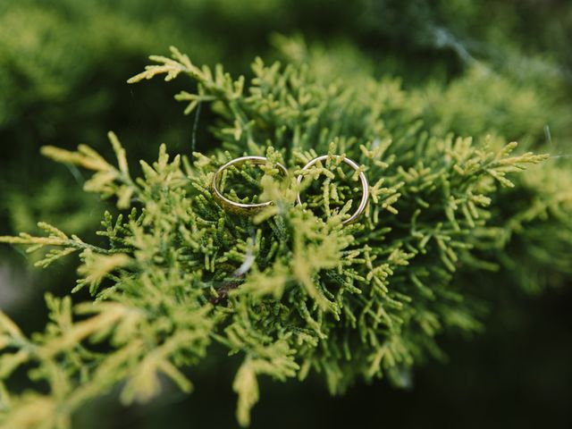 Il matrimonio di Fabrizio e Ilaria a Arpino, Frosinone 26