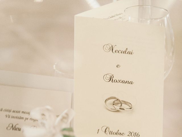 Il matrimonio di Neculai e Roxana a Monastier di Treviso, Treviso 49