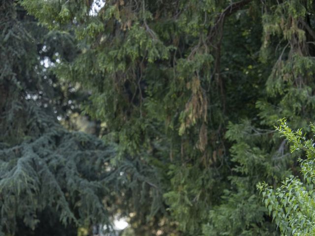 Il matrimonio di Davide e Miriana a Manerbio, Brescia 34