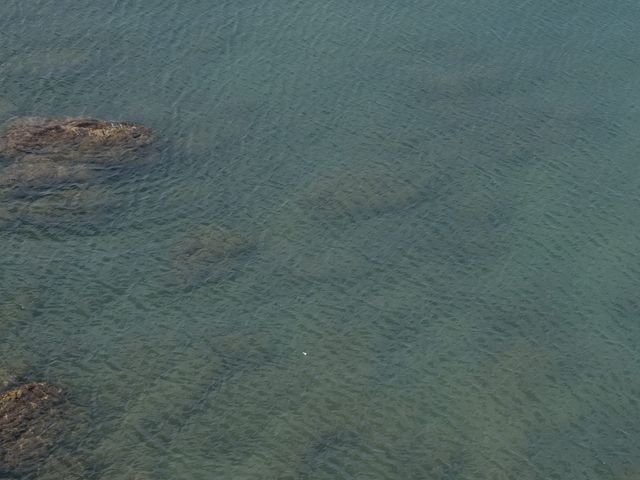 Il matrimonio di Filippo e Annalisa a Castellammare del Golfo, Trapani 55