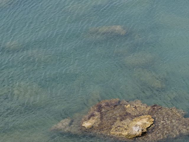 Il matrimonio di Filippo e Annalisa a Castellammare del Golfo, Trapani 56