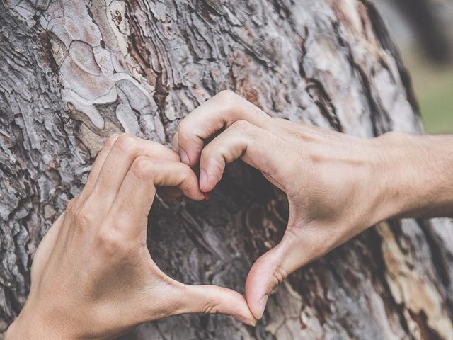 Il matrimonio di Davide e Josselyn a Bergamo, Bergamo 33