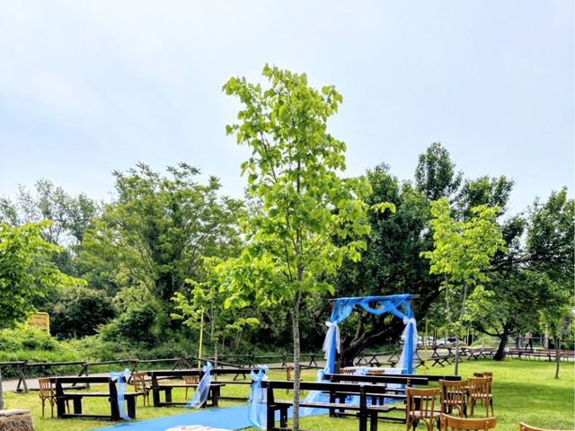 Il matrimonio di Bruno e Maria a Voghera, Pavia 3