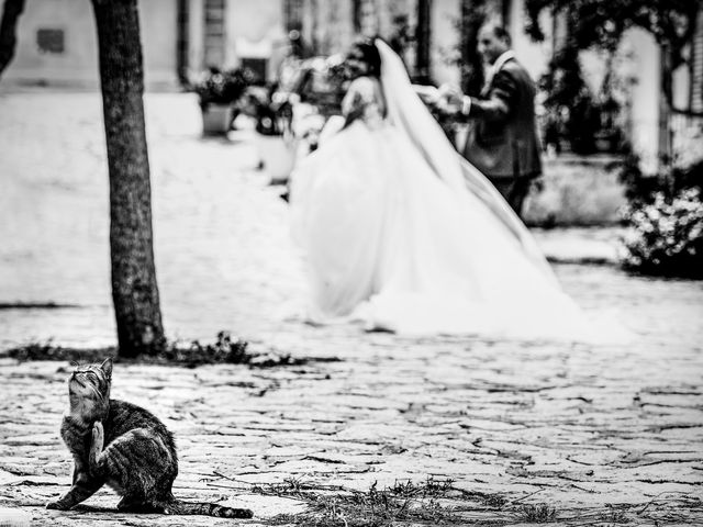 Il matrimonio di Hamed e Hanan a Alcamo, Trapani 41