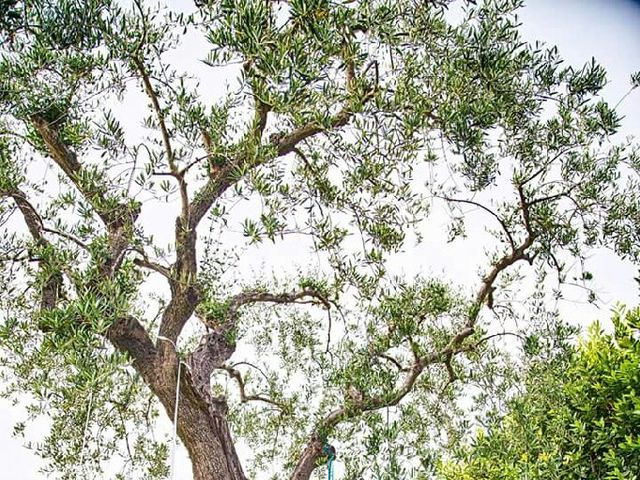 Il matrimonio di corrado e Antonietta a Mirabella Eclano, Avellino 4