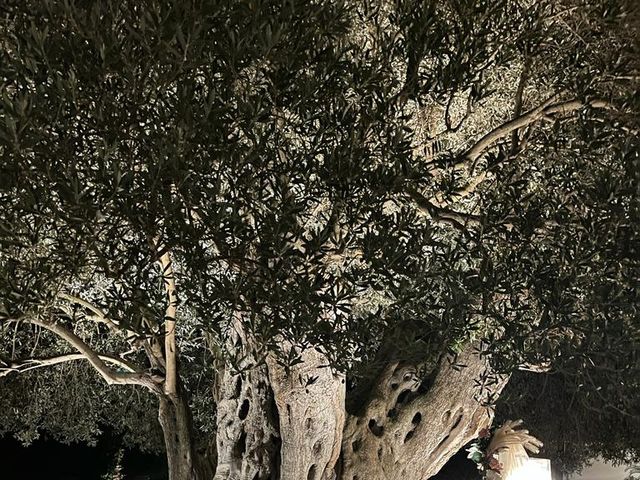 Il matrimonio di Dalila e Paolo a Canicattì, Agrigento 5