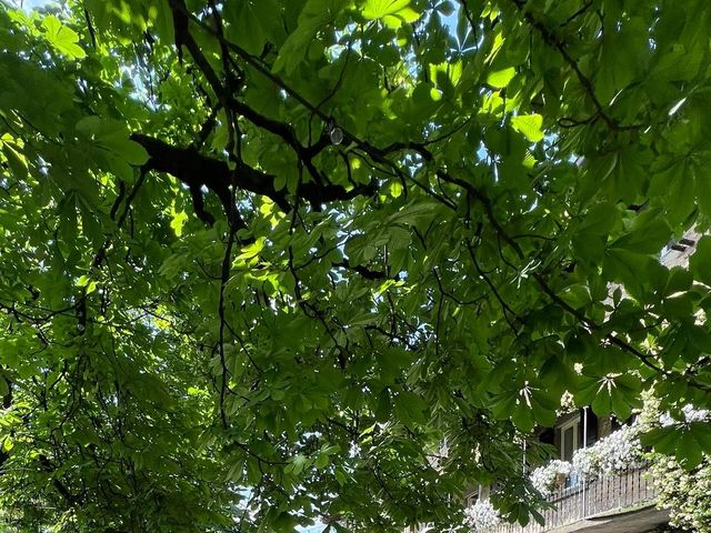Il matrimonio di Manuel e Valentina a Grumello del Monte, Bergamo 7