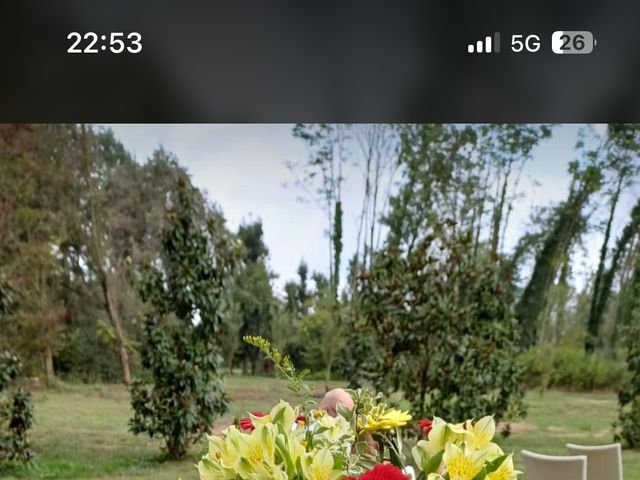 Il matrimonio di alberto e elena a Vigevano, Pavia 13