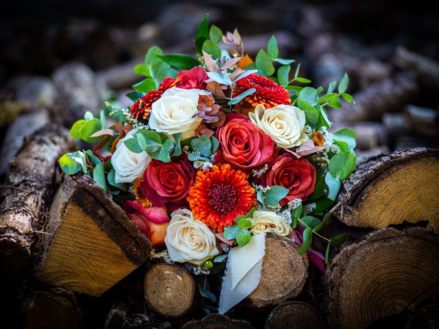 Il matrimonio di Davide e Ombretta a Cantalupa, Torino 2