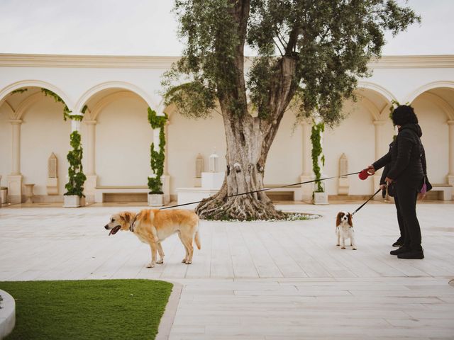 Il matrimonio di Emilio e Antonella a Canosa di Puglia, Bari 42