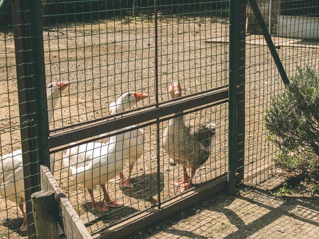 Il matrimonio di Davide e Ivonne a Garbagnate Milanese, Milano 145