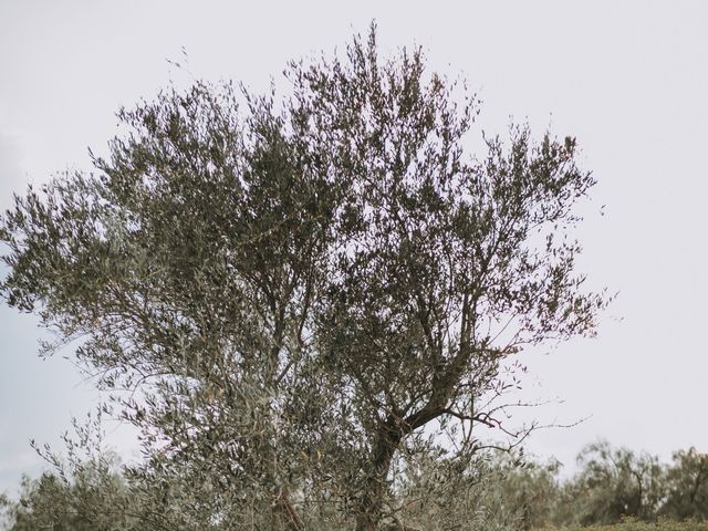 Il matrimonio di Giuseppe e Marzia a Foggia, Foggia 49