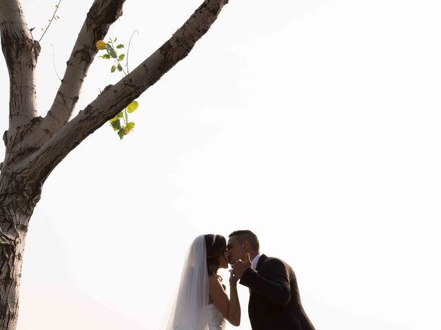 Il matrimonio di Gabriel e Simona  a Belvedere  Marittimo, Cosenza 68