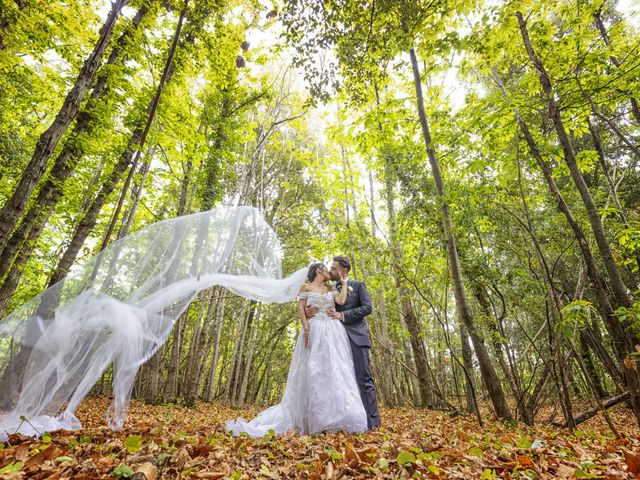 Il matrimonio di Denise e Anthony a Zafferana Etnea, Catania 21