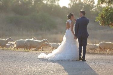 Il matrimonio di Dario e Romina  a Pergusa, Enna 8